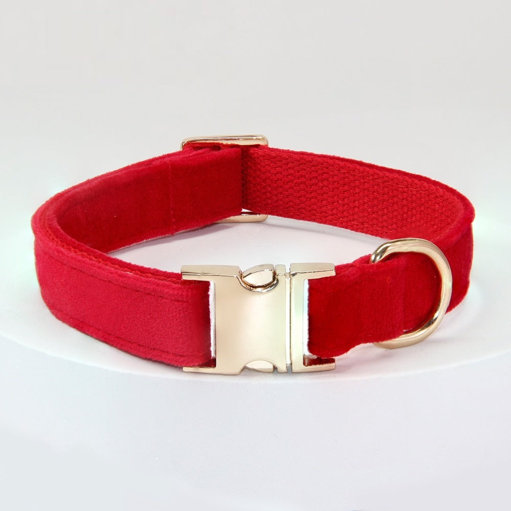 Dog Collar With Engraved Lettering, Anti Loss Collar, Large Dog Leash