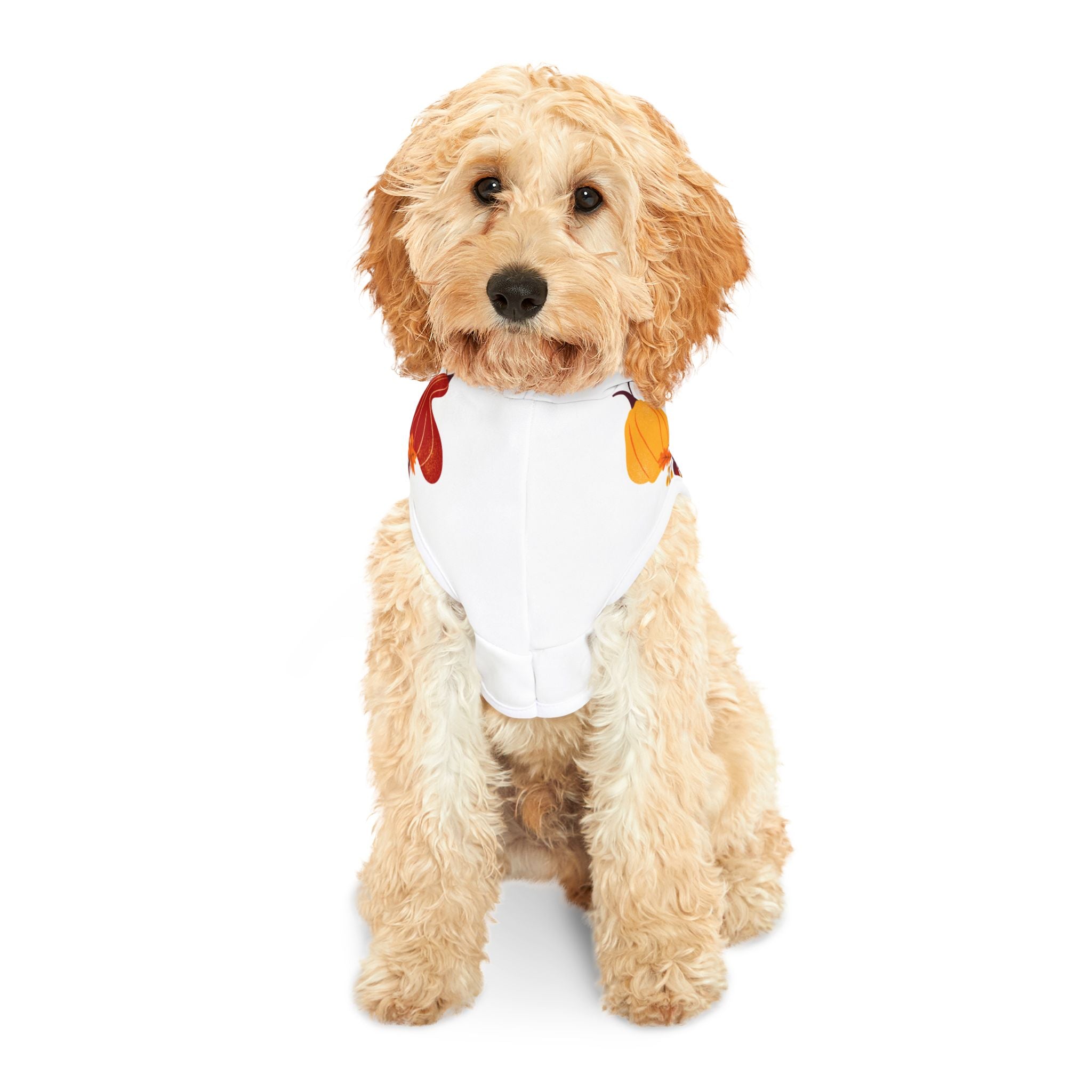 Fall-Themed Pet Hoodie, Cozy Dog Sweater, Seasonal Pet Apparel, Halloween Costume for Dogs, Hello Fall Hoodie