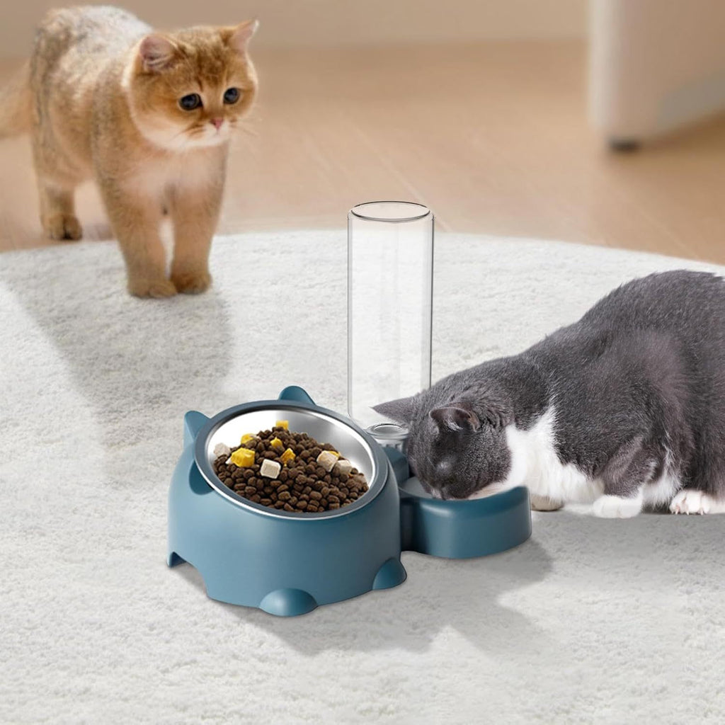 Cat Food And Water Bowl Set - 16 Degree Tilted Dog Dish With Water Dispenser Removable Pet Feeder Bowl Dog Drinking And Eating Bowl Detachable Pet Feeder Bowl For Cats And Dogs