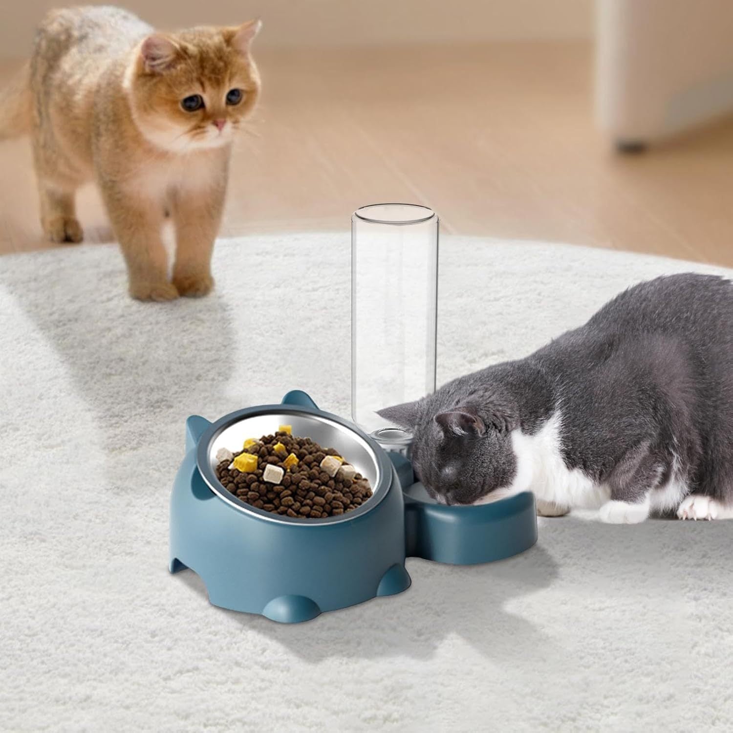 Cat Food And Water Bowl Set - 16 Degree Tilted Dog Dish With Water Dispenser Removable Pet Feeder Bowl Dog Drinking And Eating Bowl Detachable Pet Feeder Bowl For Cats And Dogs