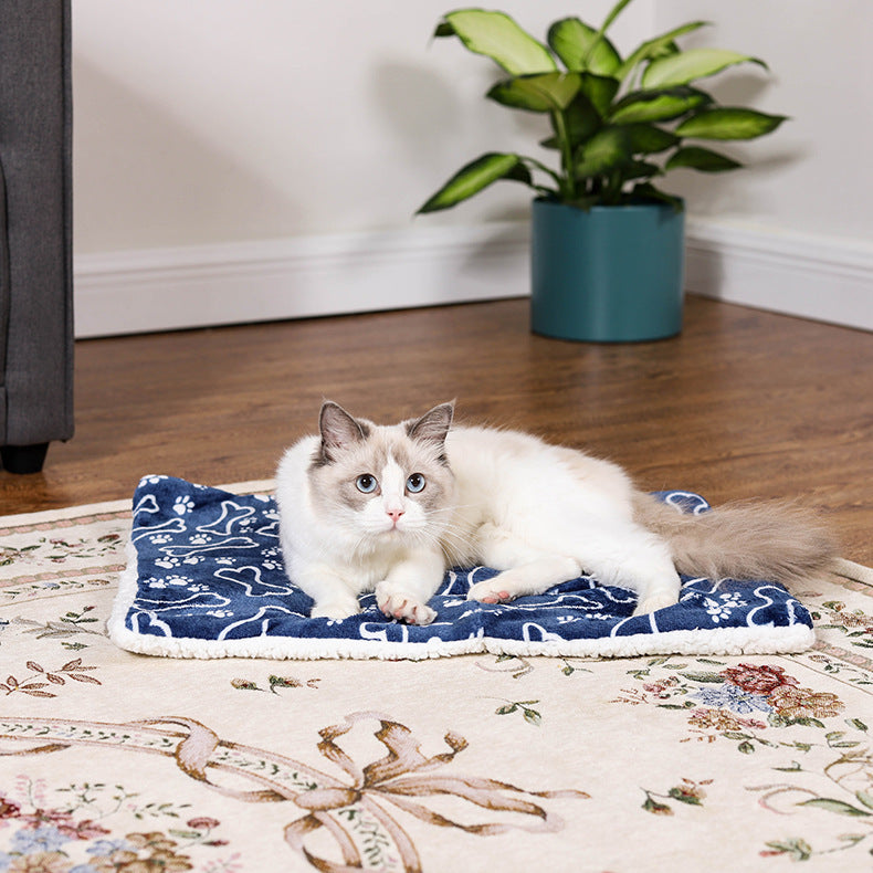 Pet Cartoon Thick Winter Warm Blanket